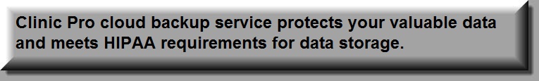 chiropractic software, medical software, electronic claims, Medicare, Blue Cross Blue Shield,